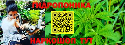 mdma Заводоуковск