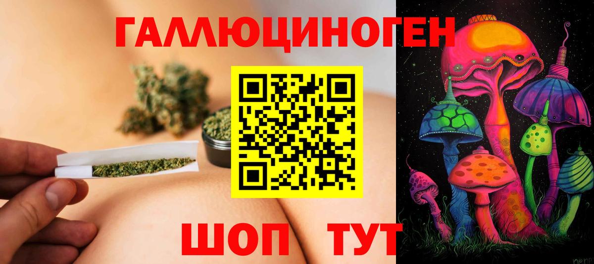 Курчалой  Галлюциногенные грибы прущие грибы  Галлюциногенные грибы Cubensis  Вход с VPN 
