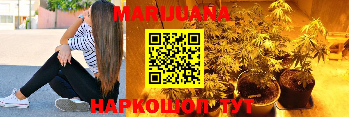 Курчалой  Каннабис тримм  Конопля ГИДРОПОН  Вход с VPN 